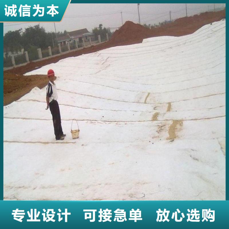 膨潤土防水毯【排水板】品質優選