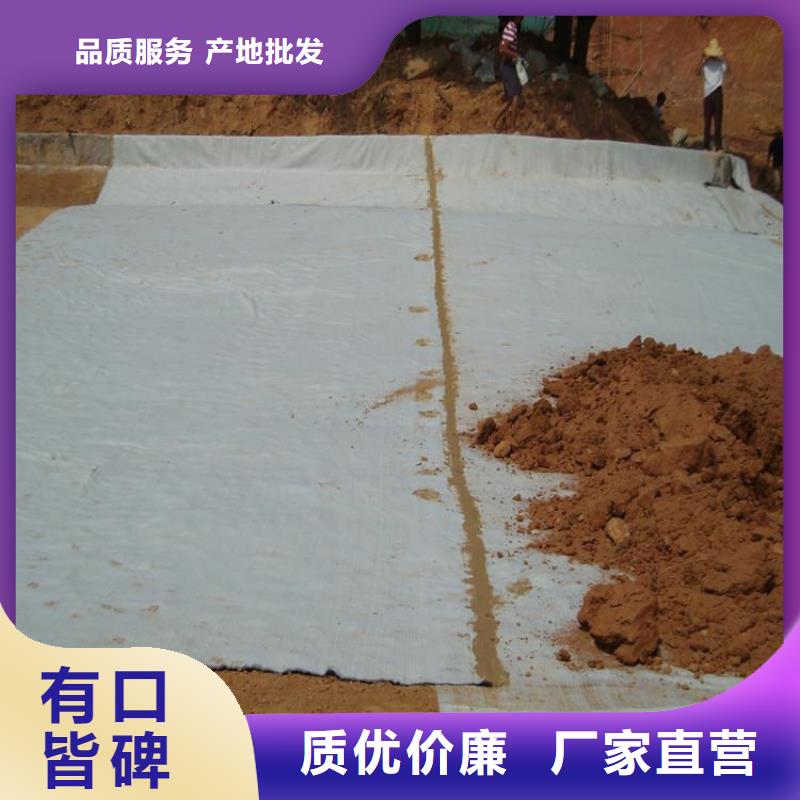 |青山湖|进贤|新余|景德镇|赣州|抚州|吉安|萍乡中齐膨润土防水毯【塑料盲沟】一站式供应厂家