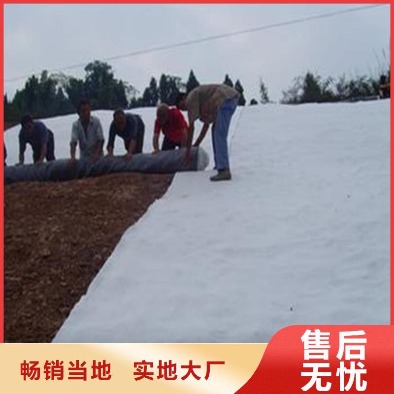 膨润土防水毯土工格室产品细节参数
