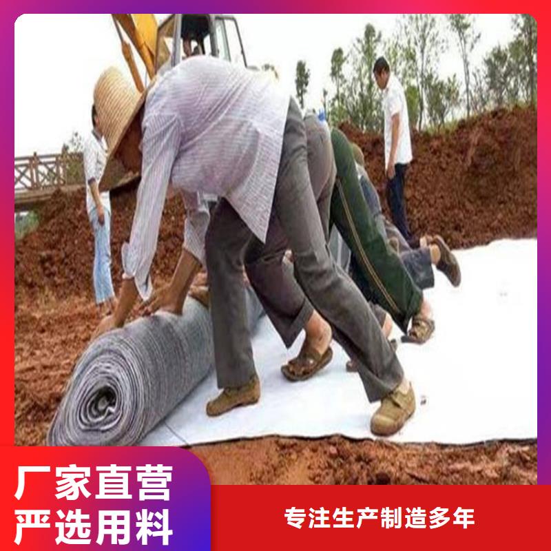【 膨润土防水毯通风降噪丝网通过检测】中齐防渗膜