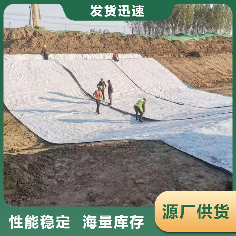 【 膨润土防水毯通风降噪丝网通过检测】中齐防渗膜