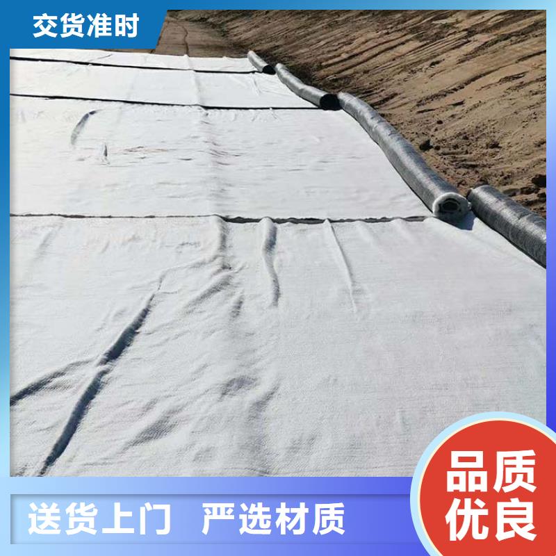 【 膨润土防水毯通风降噪丝网通过检测】中齐防渗膜