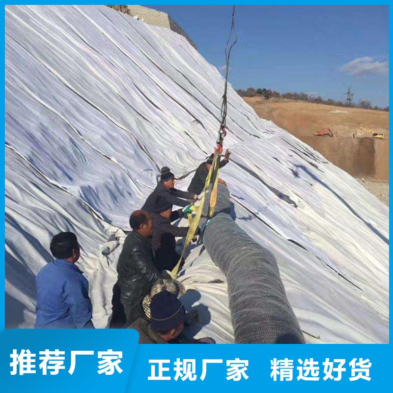 中齐防渗膜【膨润土防水毯】 软式透水管国标检测放心购买qy55.com