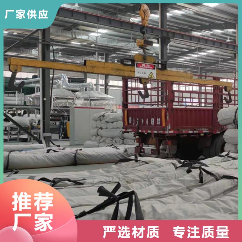 膨潤土防水毯HDPE土工膜口碑好實力強