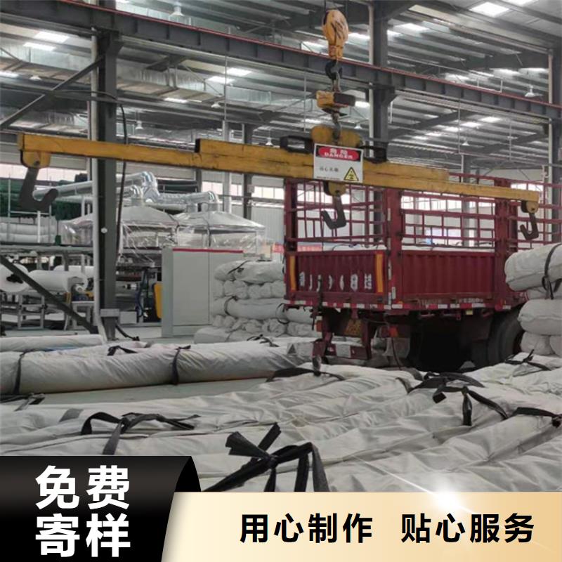 膨润土防水毯防水毯N年大品牌