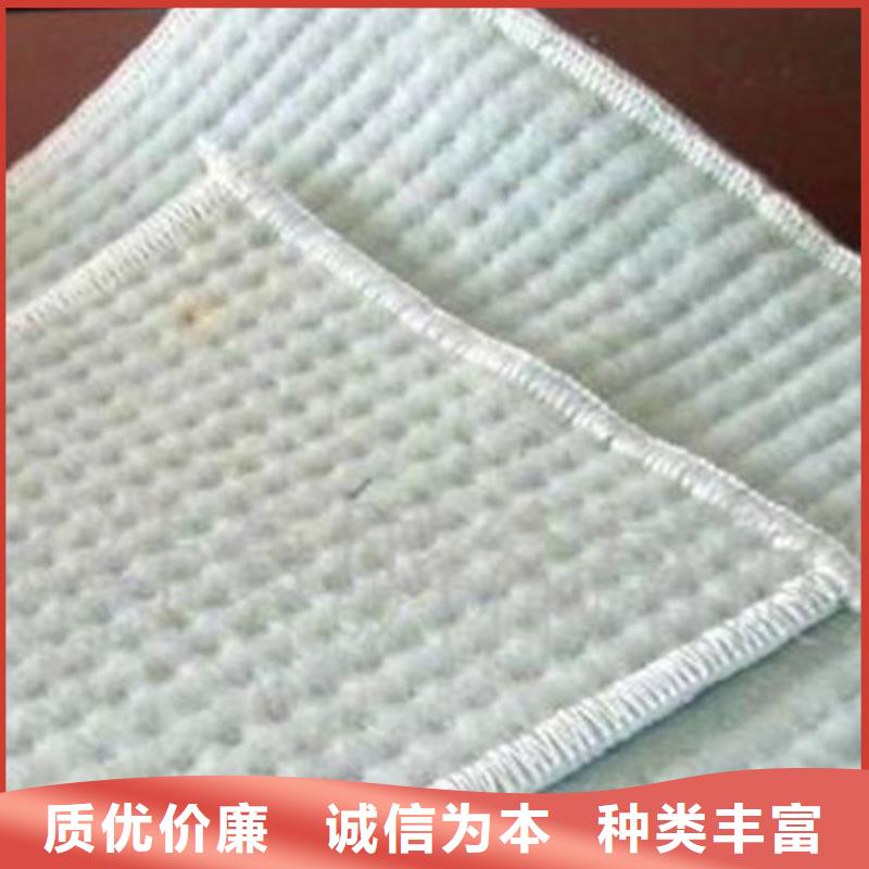 |青山湖|进贤|新余|景德镇|赣州|抚州|吉安|萍乡中齐膨润土防水毯【塑料盲沟】一站式供应厂家