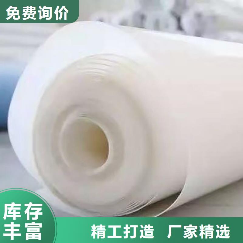 防水板土工格柵廠家直銷省心省錢