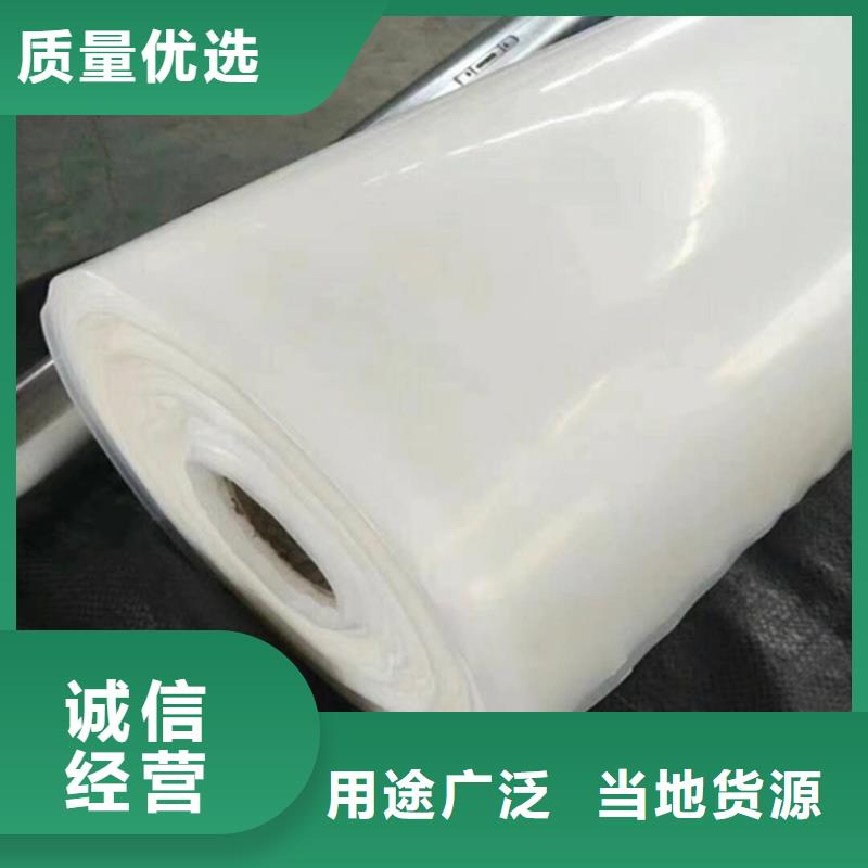 防水板【防滲膜】專業(yè)的生產(chǎn)廠家