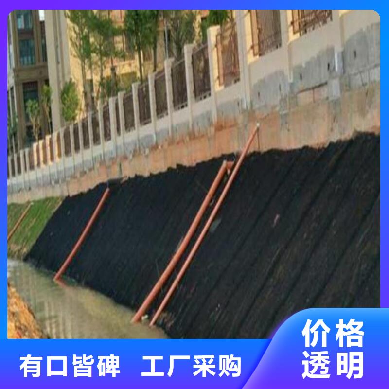山亭|滕州|日照|聊城|威海|淄博|菏泽|泰安|青岛【水土保护毯】-防水板定制速度快工期短公司