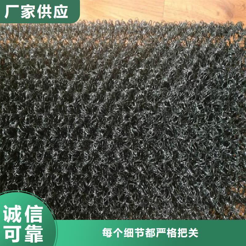 水土保護毯三維植被網廠家案例