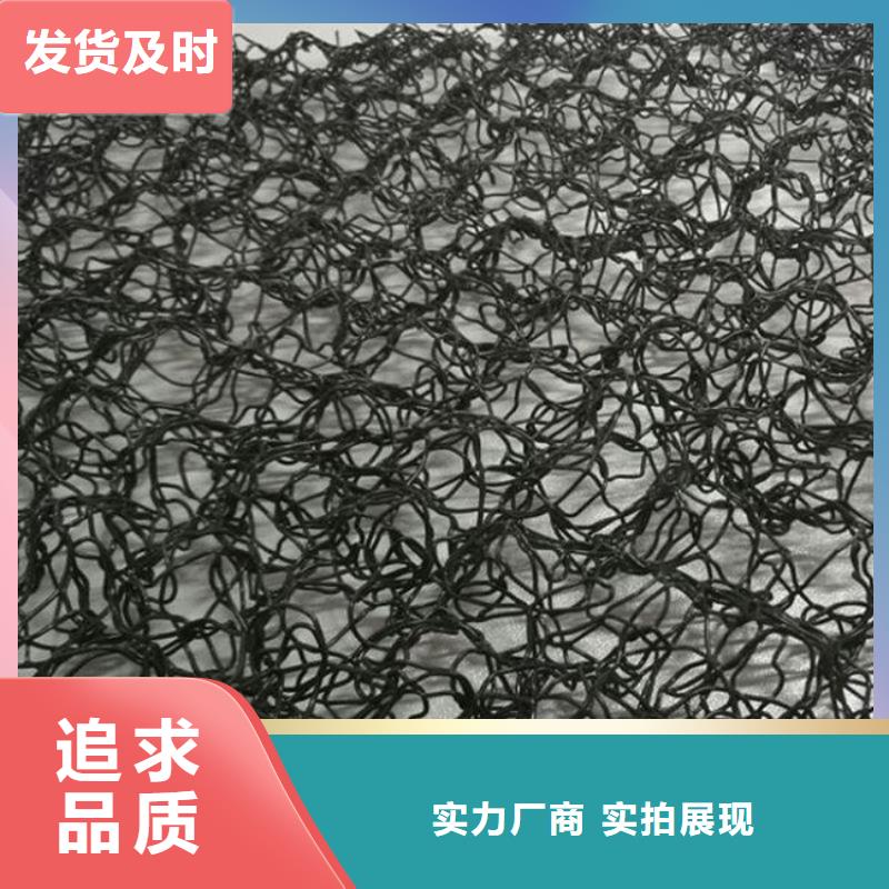 水土保护毯三维植被网厂家案例
