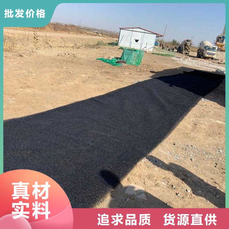 水土保护毯-双向土工格栅支持定制加工