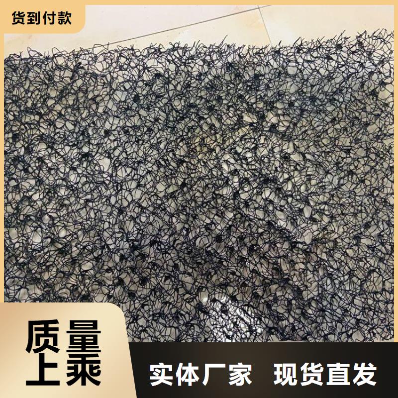 水土保護毯-雙向土工格柵支持定制加工