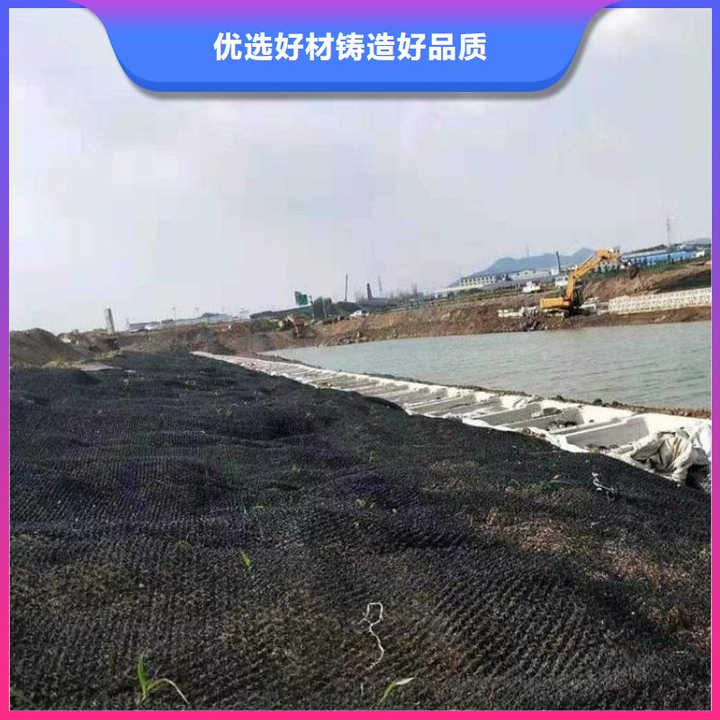 水土保护毯-双向土工格栅支持定制加工