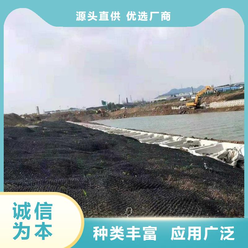 水土保护毯-双向土工格栅支持定制加工
