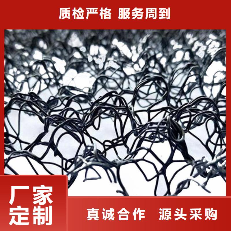 水土保護毯-雙向土工格柵支持定制加工