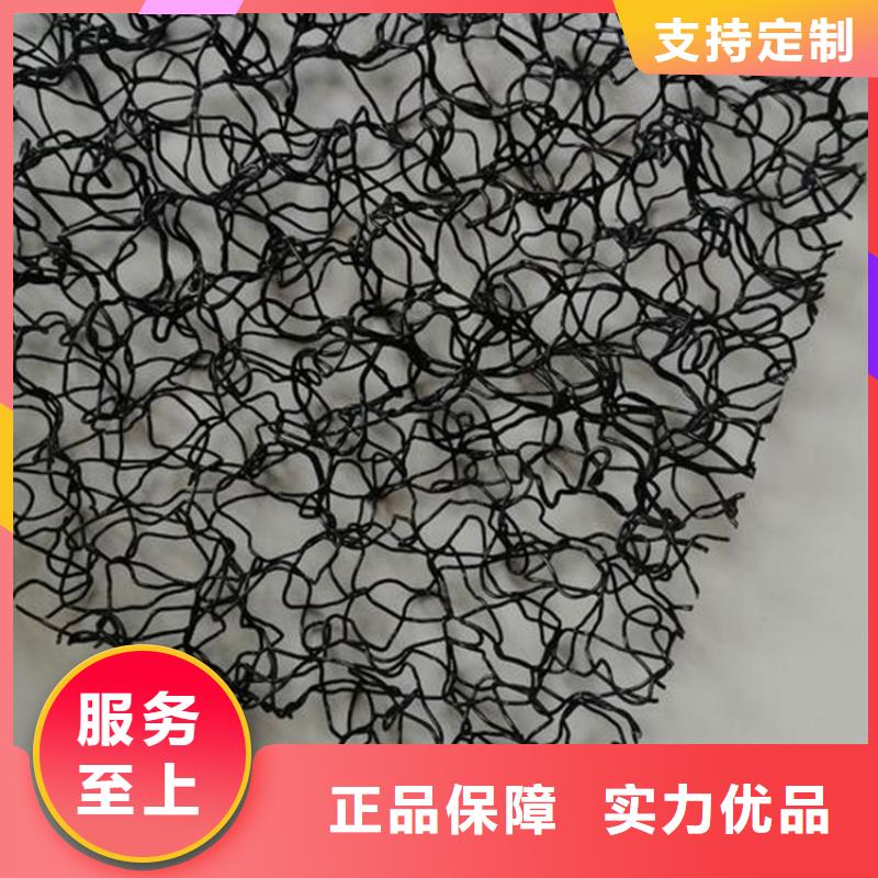 水土保护毯三维植被网厂家案例