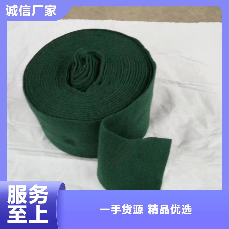 裹树布-塑料盲沟实体厂家