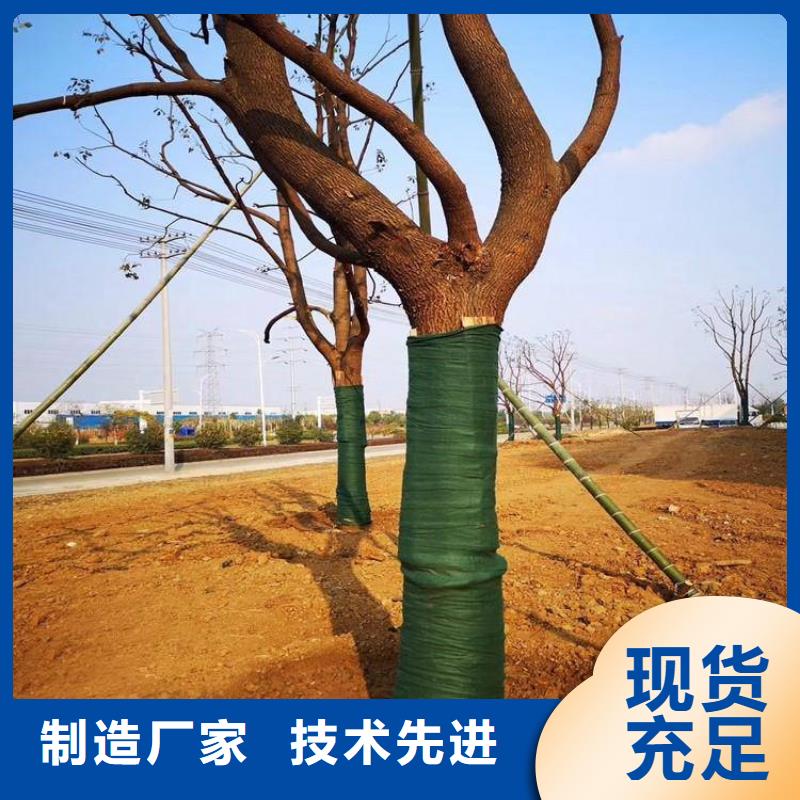 【裹树布】-玻纤土工格栅支持大批量采购-中齐建材(珠海市分公司)