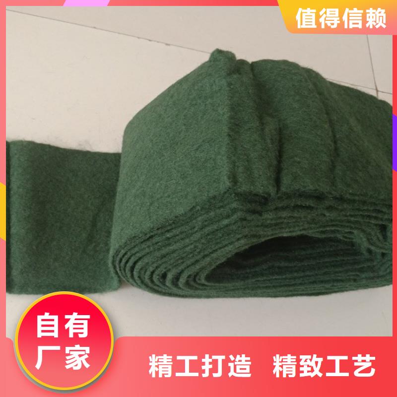 裹树布玻纤格栅甄选好物