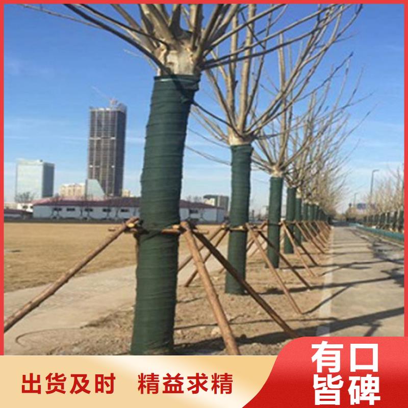 防渗膜视频-湖州|宁波|台州|舟山|绍兴防渗膜生产安装-中齐建材(浙江省分公司)