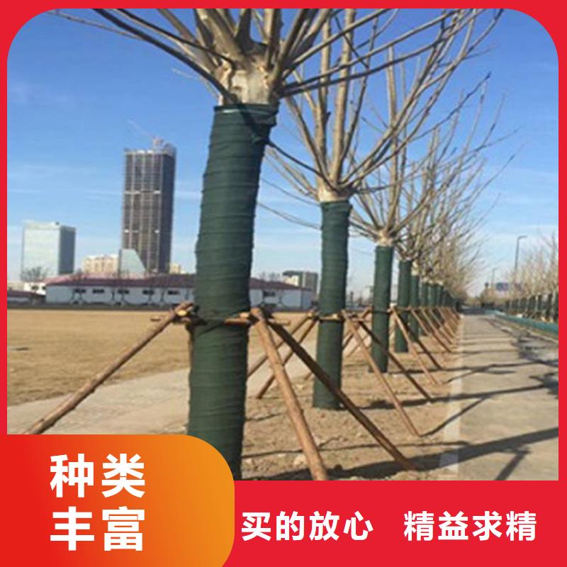 裹樹布土工格室全品類現貨
