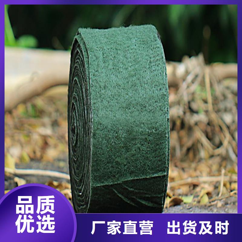 裹树布玻纤土工格栅当日价格