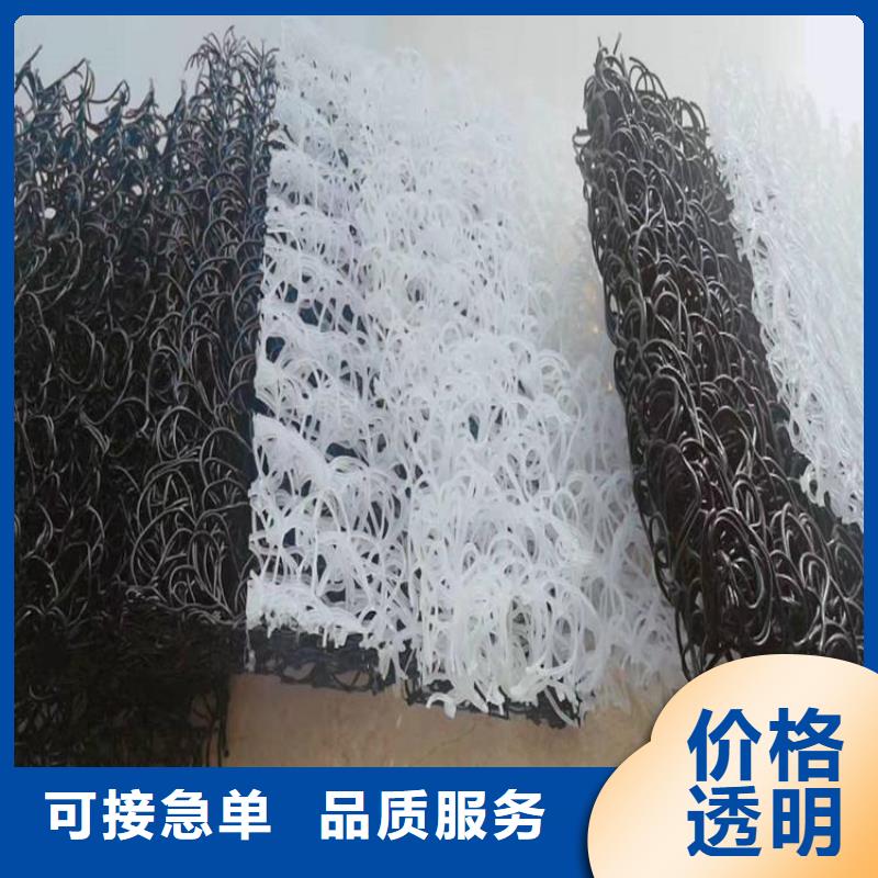 土工席墊雙向塑料土工格柵工廠直銷