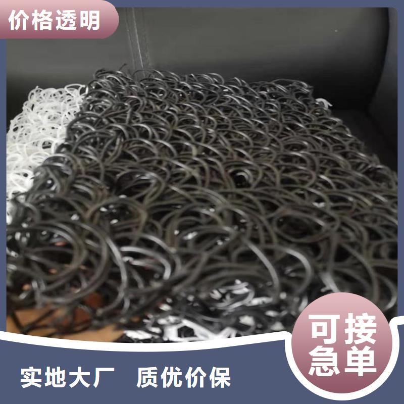 土工席墊雙向塑料土工格柵工廠直銷
