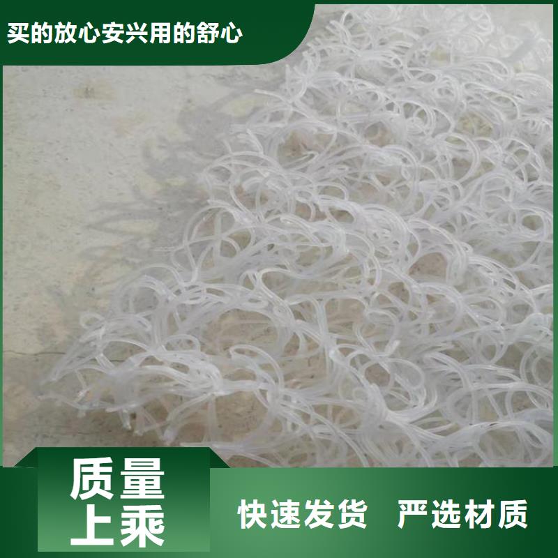 土工席墊雙向塑料土工格柵工廠直銷