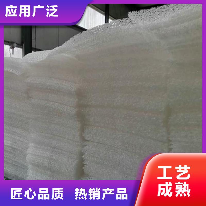 土工席墊雙向塑料土工格柵工廠直銷