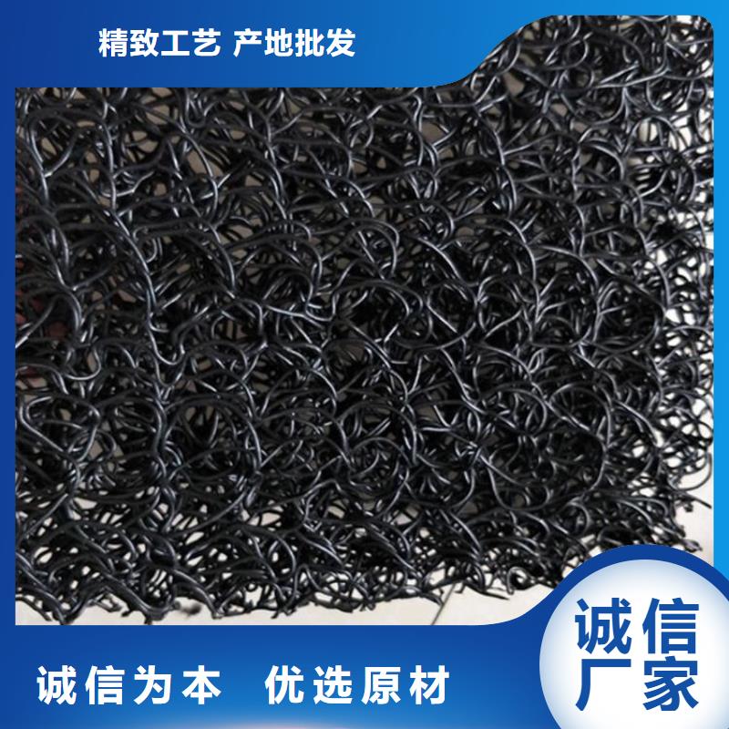 土工席墊雙向塑料土工格柵工廠直銷