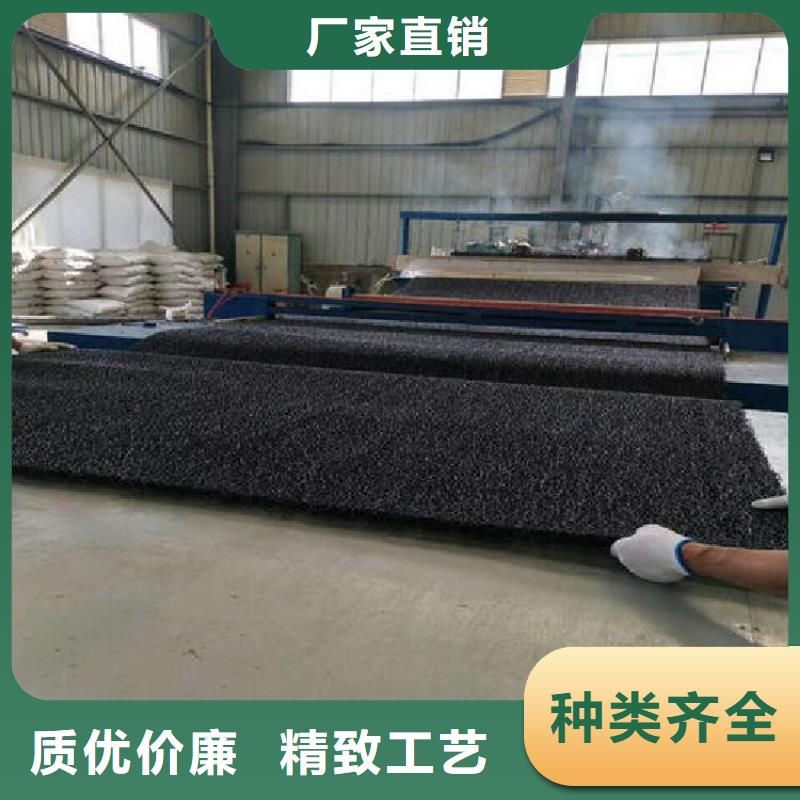 【 土工席垫-防渗膜匠心打造】真材实料诚信经营