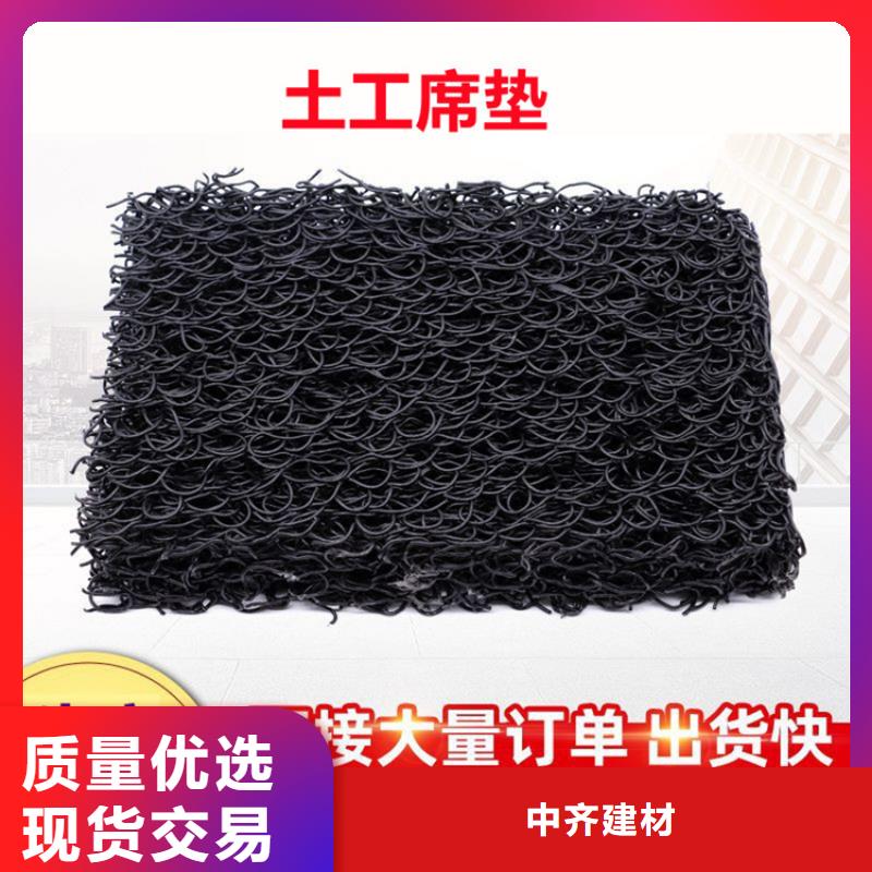 土工席墊雙向塑料土工格柵工廠直銷