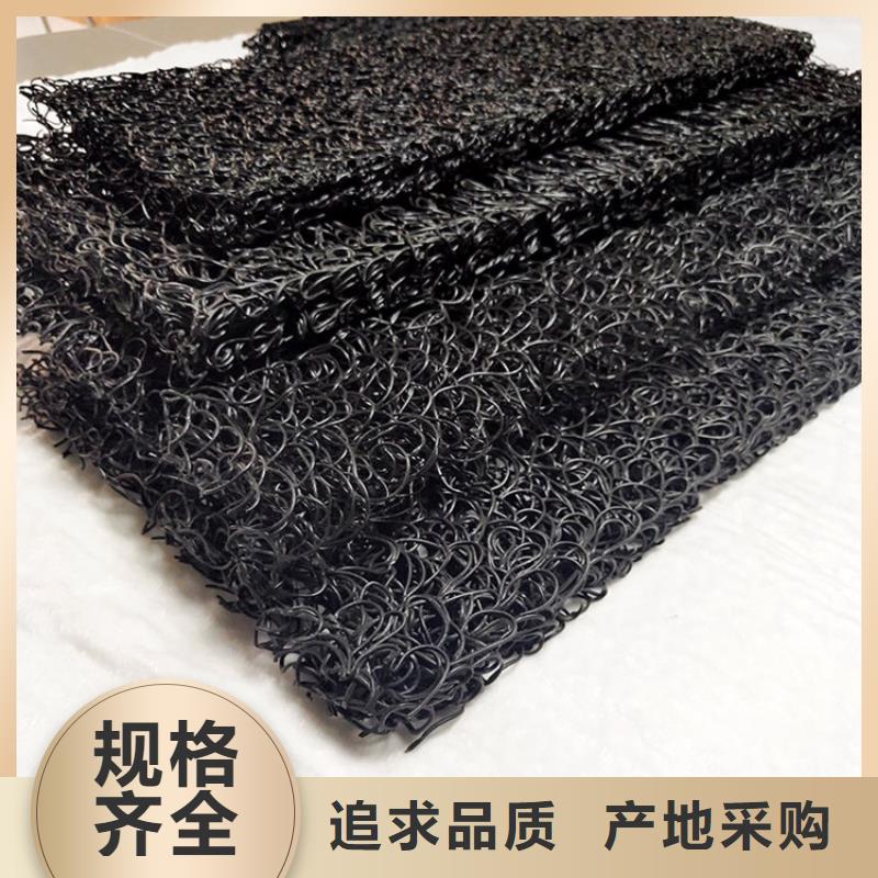 土工席墊雙向塑料土工格柵工廠直銷