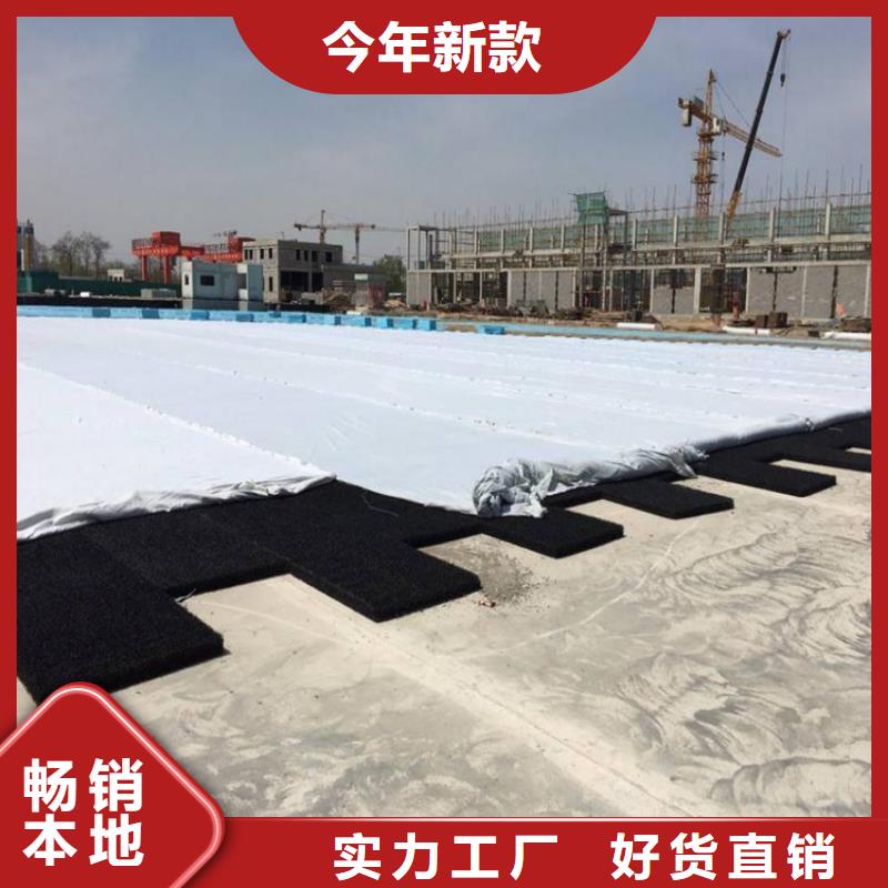 【 土工席垫-防渗膜准时交付】当地服务商