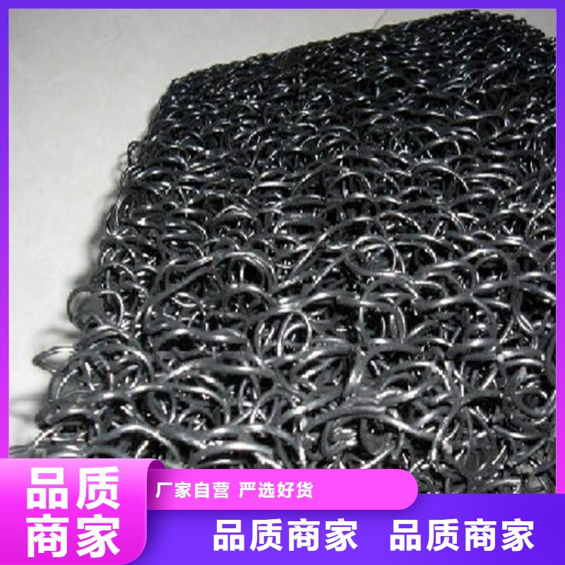 土工席墊雙向塑料土工格柵工廠直銷