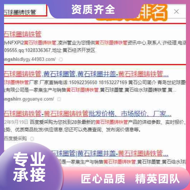 荔湾|番禹|佛山|潮州|揭阳|江门|韶关华尔电脑端案例 【优化】实力商家