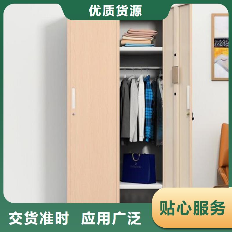 黎城铁皮资料柜定制