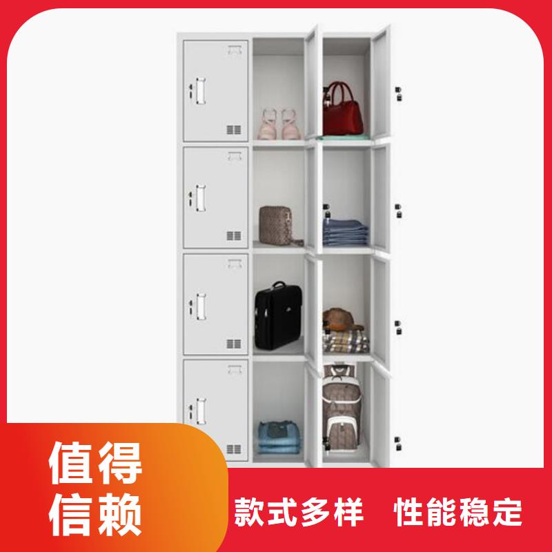 平陆两门铁皮柜定制