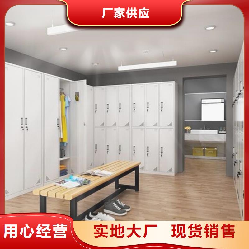 定州兩門鐵皮柜生產廠家