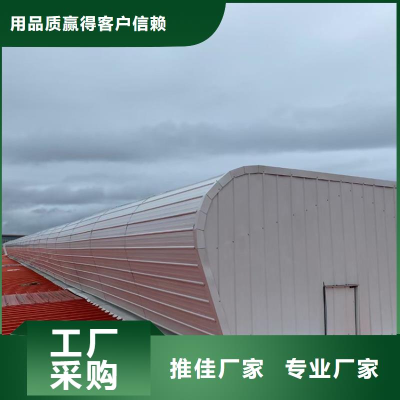 采光排烟通风天窗_【C-FD防倒灌风帽】全品类现货本地服务商