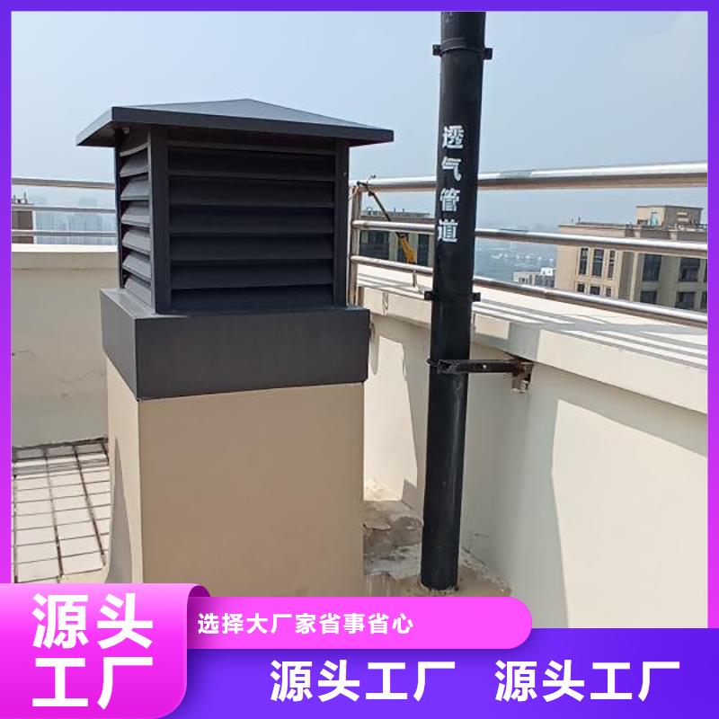 温州F-FM-WM300型离心风帽10年经验