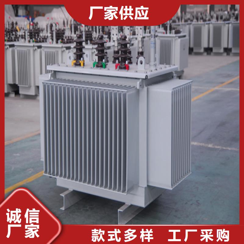 销售S20-m-160/10油浸式变压器_实力厂家