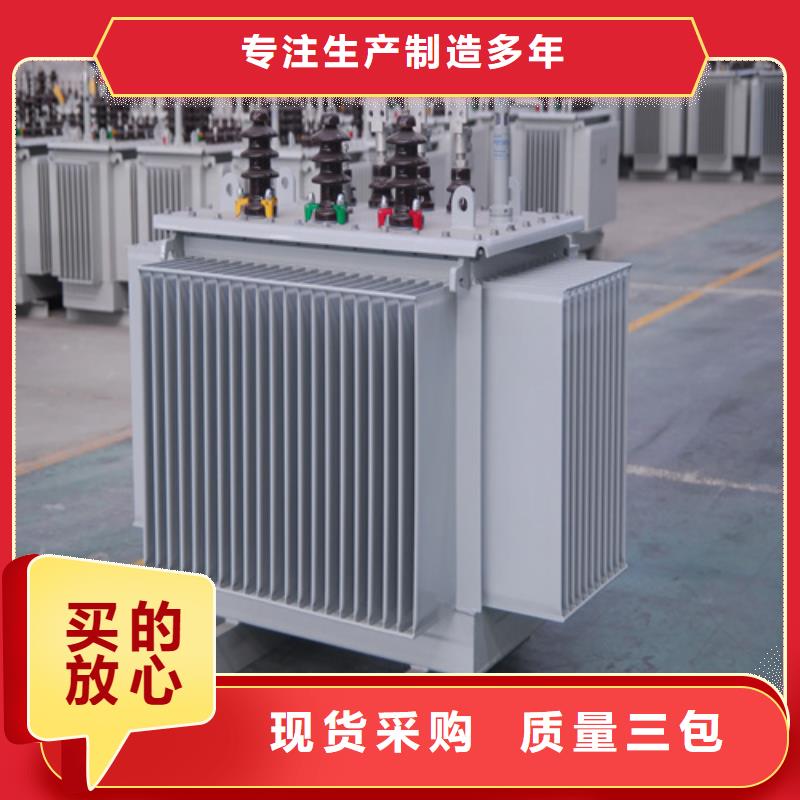 S20-m-250/10油浸式变压器优质供货厂家