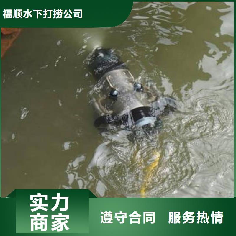 (福顺)重庆市綦江区
水下打捞貔貅
本地服务