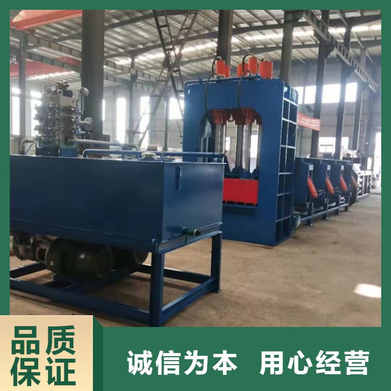 龙门剪金属撕裂机甄选好厂家