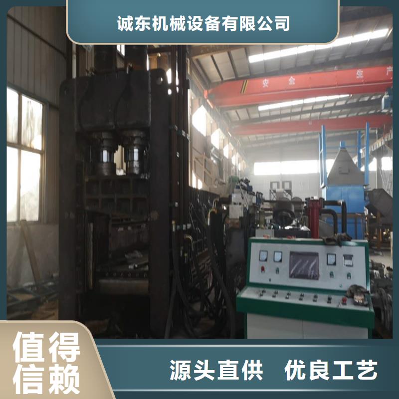 龙门剪金属撕裂机源头厂家直销