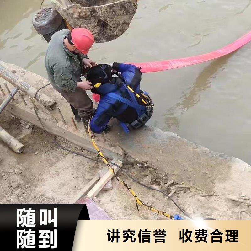 实力雄厚的蛙人潜水队厂家