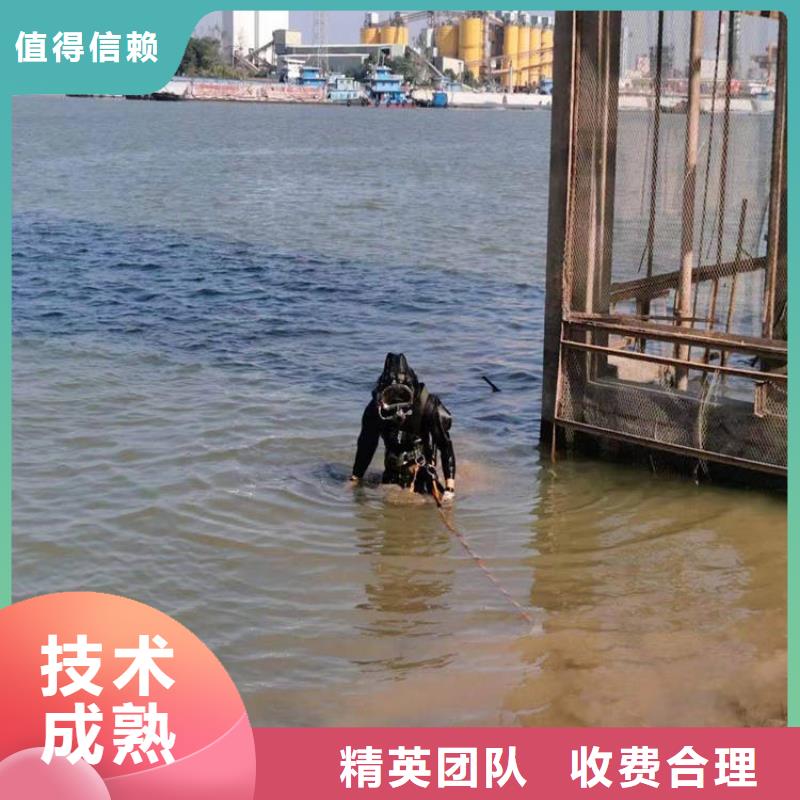 蛙人水下检测欢迎订购蛟龙潜水公司